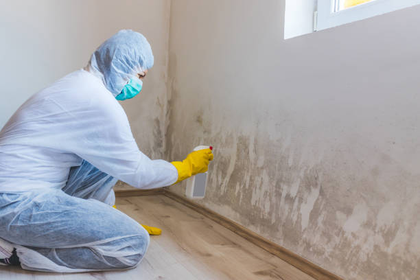 Commercial Mold Remediation assessment for commercial property in Montville
